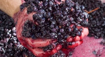 2 Recepty, jak vyrobit víno z hroznového koláče doma